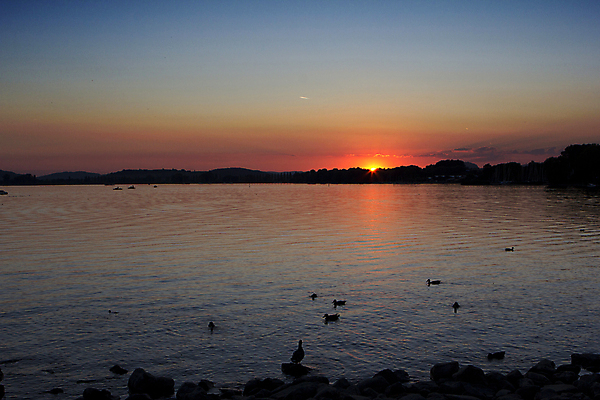 포토 JPG 해외이미지 구름 유럽 호수 파도 바다 하늘 바람 독일 항해 풍경 사람없음 야외 물 반사 탑 황혼 일몰 오스트리아 스위스 명승지 바이에른 수평선 해외202004 해외포토 자연요소 건축물 나라 배_교통 날씨 노을 파일형식 이미지허브