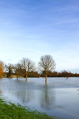 포토 JPG 해외이미지 식물 구름 음식 바다 잎 밭 농업 자연 하늘 날씨 영국 건조 옥수수 풍경 잔디 사람없음 야외 초록색 물 여름 파란색 농작물 강 글로벌 농장 환경 손상 수확 시골 변화 땅 홍수 당구 조경 소금 먼지 진흙 내추럴 넘어짐 밭일 재앙 해외202004 해외포토 자연요소 계절 유럽 산업 컬러 컨셉 모션 곡류 구기 자연재해 생태계 파일형식 이미지허브