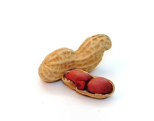 포토 JPG 해외이미지 건조 사람없음 갈색 껍질 알맹이 땅콩 해외포토 컬러 견과류 파일형식 이미지허브