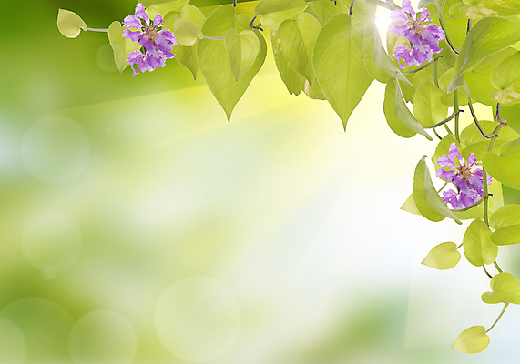 포토 JPG 해외이미지 모양 디자인 계절 파도 분홍색 백그라운드 컨셉 패턴 자연 벽지 표면 발렌타인데이 사랑 사람없음 물 여름 빛 컬러풀 햇빛 태양 파티 일출 맑음 축제 흰색 축하 신선 점 원형 소프트포커스 질감 보케 내추럴 깊이 블러 해외202004 해외포토 자연요소 도형 감정 바다 컬러 무늬 데이이벤트 날씨 촬영기법 이벤트 노을 생태계 파일형식 이미지허브