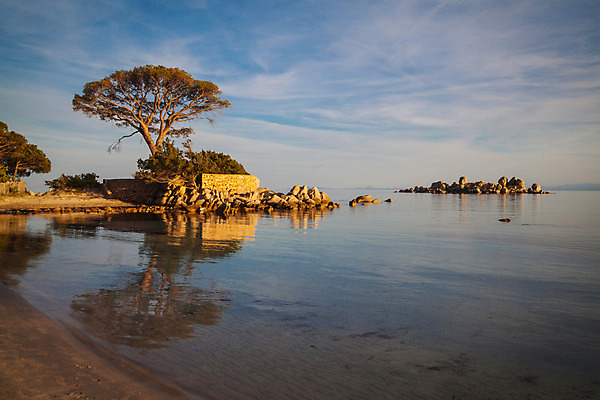포토 JPG 해외이미지 나무 모래 파도 바다 섬 여행 자연 하늘 휴가 휴식 파노라마 풍경 사람없음 물 여름 파란색 맑음 프랑스 만 지중해 남쪽 내추럴 코르시카 터키석 해외202004 해외포토 자연요소 식물 계절 유럽 컬러 컨셉 날씨 촬영기법 보석 방향 생태계 파일형식 이미지허브