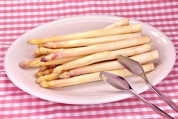 포토 JPG 해외이미지 접시 채소 사람없음 빨간색 보라색 식사 봄 식탁보 흰색 신선 담요 자르기 다발 먹기 체크무늬 아스파라거스 날것 펜치 해외202004 해외포토 식기 계절 컬러 무늬 모션 공구 파일형식 이미지허브