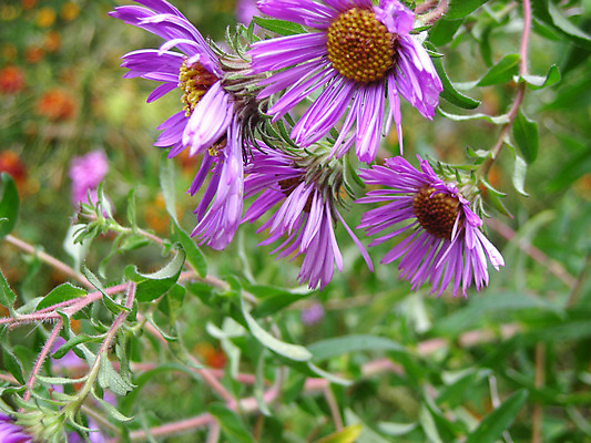 포토 JPG 해외이미지 사람없음 해외202004 해외포토 파일형식 이미지허브