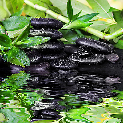 포토 JPG 해외이미지 나무 문화 물결 파도 줄기 백그라운드 컨셉 잎 불교 자연 건강 동양인 사람없음 장식 초록색 물 반사 검은색 스파 중국 성장 물방울 나뭇가지 신선 마사지 이슬 수분 열대우림 대나무 암초 동쪽 현무암 해외202004 해외포토 자연요소 식물 아시아 종교 바다 컬러 인종 숲 방향 생태계 화산암 파일형식 이미지허브