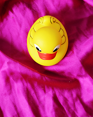 포토 JPG 해외이미지 분홍색 백그라운드 오리 발렌타인데이 사람없음 장난감 노란색 직물 클래식 고급 플라스틱 실크 제비꽃 질감 강렬 해외202004 해외포토 꽃 컬러 컨셉 데이이벤트 재질 조류 파일형식 이미지허브