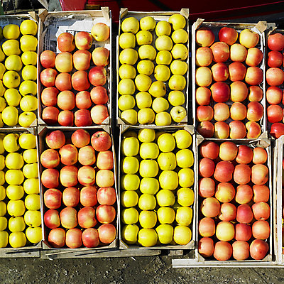 포토 JPG 해외이미지 외관 음식 백그라운드 과일 표면 건강 사람없음 야외 빨간색 노란색 달콤 사과 배열 먹기 영양 건강식 세르비아 영양분 정물화 채식주의자 많음 해외202004 해외포토 컬러 컨셉 모션 맛 그림 채식 파일형식 이미지허브