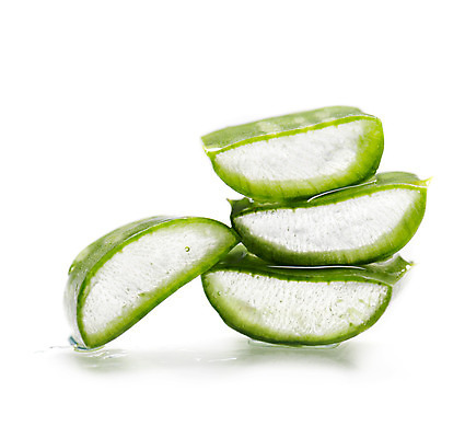 포토 JPG 해외이미지 식물 백그라운드 잎 재료 단면 근접촬영 사람없음 초록색 뷰티 쌓기 신선 투명 슬라이스 알로에 알로에베라 해외202004 해외포토 뷰포인트 컬러 모션 파일형식 이미지허브