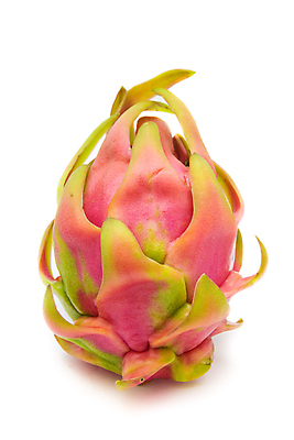 포토 JPG 해외이미지 음식 분홍색 백그라운드 다이어트 과일 태국 자연 선인장 건강 씨앗 동양인 사람없음 빨간색 활발 흰색 용 신선 달콤 맛 잠자리 유기농 날것 고립 숙성 이국적 특별함 해외202004 해외포토 식물 웰빙 아시아 컬러 곤충 컨셉 인종 생태계 파일형식 이미지허브