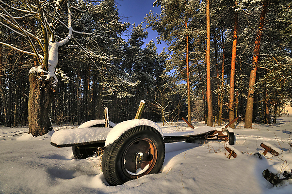 포토 JPG 해외이미지 나무 전통 계절 여행 겨울 밭 농업 교통시설 자연 하늘 날씨 풍경 사람없음 야외 목재 농장 얼음 카트 추위 수확 골동품 흰색 시골 소나무 바퀴 고독 숲 시원함 복고 서리 장면 마차 옛날 눈내림 해외202004 해외포토 자연요소 식물 감정 산업 교통수단 컬러 교통 재료 눈_날씨 시설 생태계 파일형식 이미지허브