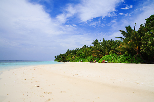 포토 JPG 해외이미지 나무 식물 구름 모래 파도 바다 섬 여행 잎 자연 하늘 휴가 휴식 손바닥 풍경 사람없음 야외 물 여름 파란색 햇빛 태양 여행객 수영 침묵 만 휴양지 장면 태평양 암초 세이셸 석호 몰디브 터키석 수평선 해외202004 해외포토 자연요소 손 계절 아시아 컬러 컨셉 아프리카 사람 소리 장소 수상스포츠 보석 생태계 파일형식 이미지허브