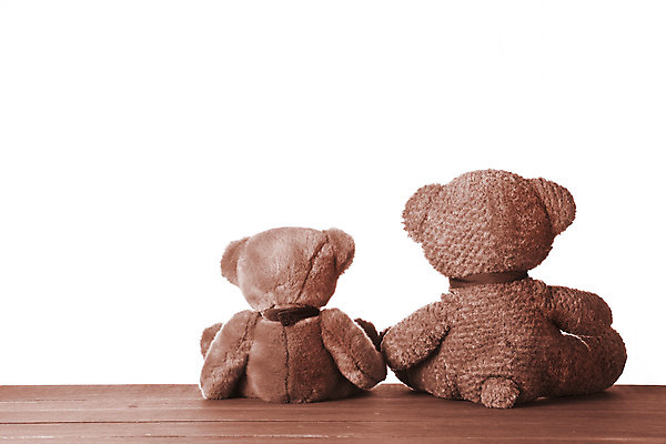 포토 JPG 해외이미지 동물 곰 가족 사람없음 친구 장난감 갈색 노란색 검은색 우정 곰인형 기쁨 흰색 조직 닫기 심플 형제 카피스페이스 해외202004 해외포토 남자 감정 인형 컬러 포유류 관계 모션 공백 파일형식 이미지허브