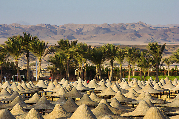 포토 JPG 해외이미지 전통문화 모래 바다 여행 백그라운드 아프리카 휴가 산 건조 이집트 풍경 사람없음 야외 관광지 야자수 사막 뜨거움 모래언덕 홍해 고고학 해외202004 해외포토 나무 전통 교육 나라 문화 언덕 파일형식 이미지허브