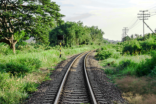 포토 JPG 해외이미지 식물 도로 길 잎 교통시설 풍경 사람없음 야외 초록색 여름 햇빛 태양 맑음 봄 숲 선로 해외202004 해외포토 자연요소 계절 컬러 교통 날씨 시설 파일형식 이미지허브