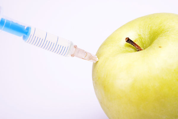 포토 JPG 해외이미지 음식 과학 농업 토마토 과일 자연 실험 주사기 사람없음 약 흰색 실험실 사과 DNA 생명공학 약국 과학자 유기농 주사약 유전 화학물질 해외202004 해외포토 직업 웰빙 산업 컬러 채소 의학 의료기기 화학 생태계 학자 파일형식 이미지허브