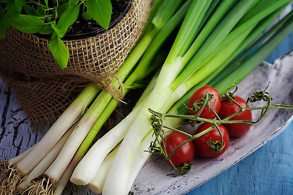 포토 JPG 해외이미지 음식 백그라운드 컨셉 잎 농업 다이어트 토마토 채소 과일 재료 자연 탁자 양파 파스타 건강 마늘 요리 사람없음 목재 초록색 농작물 세트 농장 주방 정원 요리사 시골 신선 그룹 시장 상품 수집 먹기 허브 향신료 유기농 올리브 날것 후추 바질 내추럴 숙성 채식주의자 카피스페이스 비건 해외202004 해외포토 나무 식물 직업 웰빙 열매 산업 컬러 가구 모션 서양음식 공백 생태계 채식 향미료 파일형식 이미지허브
