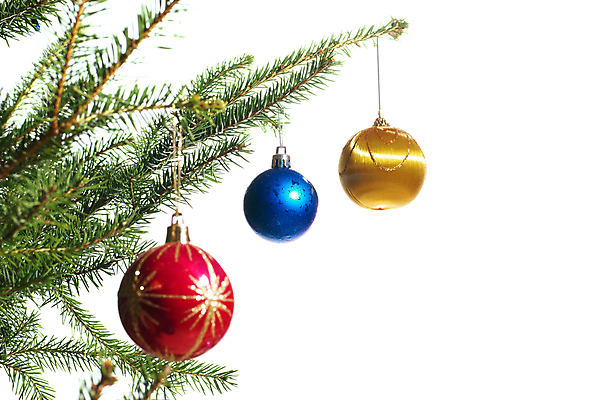 포토 JPG 해외이미지 나무 식물 전통 디자인 계절 백그라운드 크리스마스 겨울 공 자연 유리 휴가 새로움 매달리기 사람없음 장식 빨간색 초록색 파란색 빛 노란색 축제 거품 흰색 나뭇가지 축하 소나무 원형 신용카드 황금 12월 연도 심볼 묘사 오브젝트 전나무 내추럴 고립 해외202004 해외포토 도형 기념일 컬러 컨셉 모션 재질 금융 날짜 생태계 파일형식 이미지허브