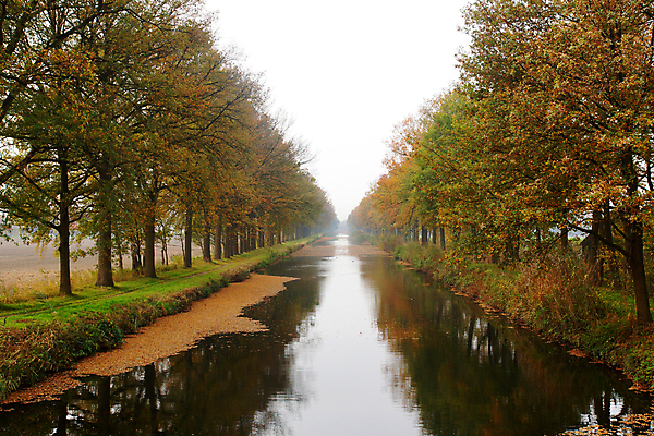 포토 JPG 해외이미지 나무 계절 백그라운드 단풍 잎 오렌지 자연 사람없음 야외 초록색 강 갈색 노란색 활발 가을 개울 숲 10월 내추럴 해외202004 해외포토 식물 컬러 컨셉 과일 날짜 생태계 파일형식 이미지허브