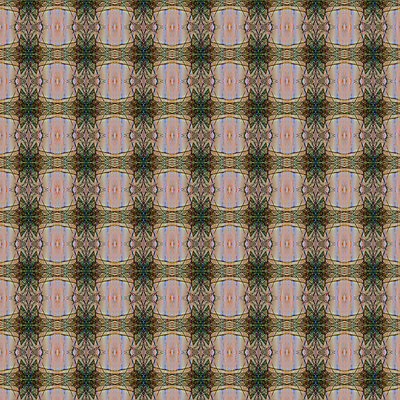 포토 JPG 해외이미지 전통 디자인 옷 꽃 종이 백그라운드 잎 꽃무늬 패턴 일러스트 자연 벽지 추상 미술 사람없음 그래픽 장식 컬러풀 유행 수확 골동품 흰색 직물 클래식 우아함 인쇄 타일 질감 복고 심플 짜임 그런지 스크랩북 엘리먼트 옛날 스타일 해외202004 해외일러스트 식물 컬러 컨셉 무늬 농업 문화예술 생태계 파일형식 이미지허브