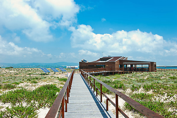 포토 JPG 해외이미지 계절 음식 비즈니스 파타야 자연 날씨 풍경 사람없음 목재 태양 환경 발전기 뜨거움 술집 역 질감 세대 패널 혁명 해외202004 해외포토 자연요소 나무 컨셉 재료 교통시설 태국 발전소 생태계 파일형식 이미지허브