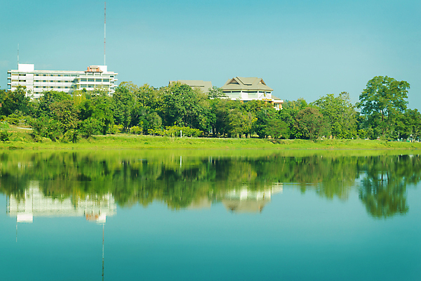 포토 JPG 해외이미지 나무 식물 공원 아시아 호수 여행 백그라운드 밭 태국 자연 아침 휴식 풍경 사람없음 야외 초록색 물 컬러풀 반사 저녁 숲 대학교 전국 해외202004 해외포토 주간 자연요소 공공시설 나라 컬러 컨셉 농업 학교 밤 야간 생태계 파일형식 이미지허브
