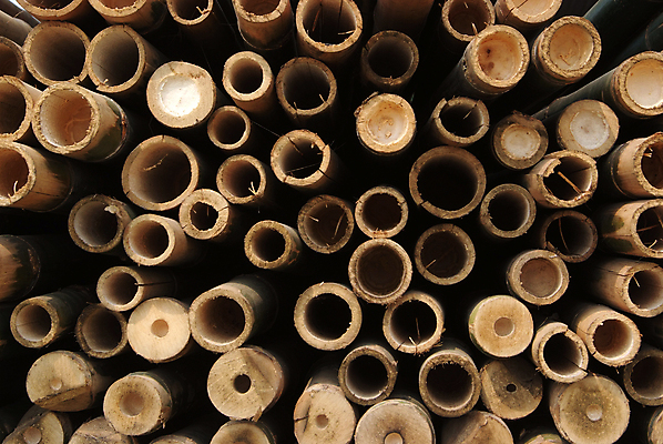 포토 JPG 해외이미지 나무 전통 산업 백그라운드 패턴 사람없음 야외 목재 갈색 쌓기 환경 에너지 화물 반지 소나무 원형 거친 그룹 주식 숲 장작 자르기 대나무 묘사 준비 질감 나무껍질 수납 자원 흙더미 다리찢기 내추럴 수목 개조 해외202004 해외포토 도형 식물 컬러 무늬 재료 장신구 모션 금융 흙 운송업 껍질 파일형식 더미 이미지허브