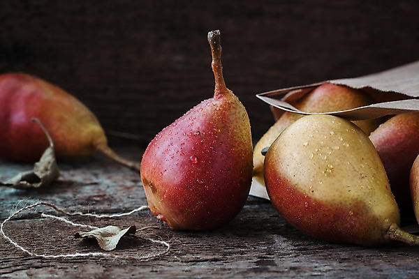 포토 JPG 해외이미지 나무 식물 라이프스타일 잡화 음식 백그라운드 컨셉 잎 가방 자연 새로움 사람없음 야외 목재 빨간색 노란색 가을 흰색 달콤 9월 순수 부드러움 8월 10월 구성 엘리먼트 해외202004 해외포토 계절 컬러 재료 생활 감각 날짜 맛 생태계 파일형식 이미지허브