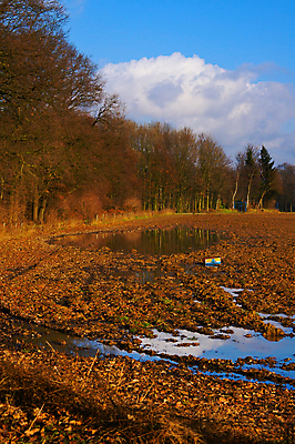 포토 JPG 해외이미지 계절 산업 지구 밭 농업 자연 풍경 사람없음 야외 농장 농경지 갈색 흙 시골 땅 먼지 장면 내추럴 땅바닥 쟁기 세련 해외202004 해외포토 컬러 바닥 생태계 파일형식 이미지허브