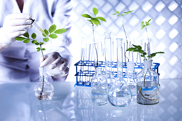 포토 JPG 해외이미지 식물 여자 실내 실험 한명 들기 상반신 성인 앞모습 액체 화학 실험실 스포이트 과학자 플라스크 시험관 파란배경 비커 화학실험 시험관대 성인여자한명만 해외202004 해외포토 직업 1 뷰포인트 과학 백그라운드 모션 실험기구 사람 내부 파란색 피펫 학자 여자한명만 성인여자만 파일형식 이미지허브