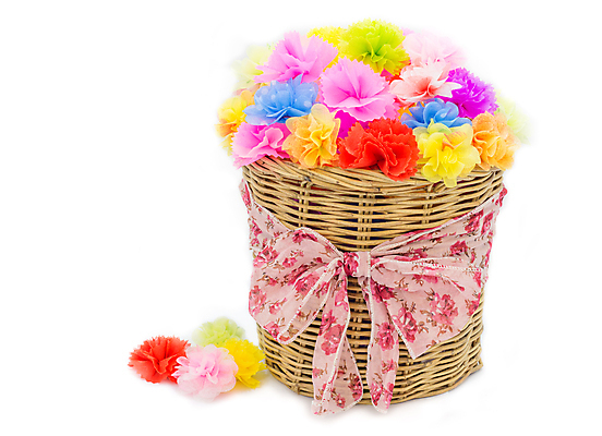 포토 JPG 해외이미지 식물 꽃 분홍색 꽃다발 백그라운드 잎 꽃무늬 밭 오렌지 자연 해바라기 실내 발렌타인데이 선물 사람없음 초록색 컬러풀 노란색 바구니 정원 꽃병 보라색 봄 흰색 개화 그룹 닫기 혼합 다발 배열 데이지 고립 섞기 인공 캐모마일 많음 해외202004 해외포토 계절 컬러 컨셉 무늬 농업 과일 모션 데이이벤트 내부 허브 생태계 파일형식 이미지허브