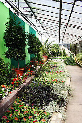 포토 JPG 해외이미지 나무 식물 꽃 자연 선인장 독일 손바닥 사람없음 초록색 정원 생태학 아열대 온실 이국적 해외202004 해외포토 손 교육 유럽 컬러 생태계 파일형식 이미지허브