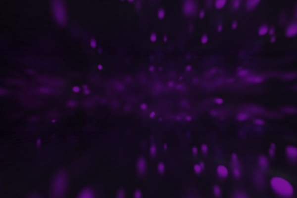 포토 JPG 해외이미지 디자인 백그라운드 패턴 일러스트 벽지 추상 휴가 불꽃 미술 사람없음 그래픽 장식 파란색 빛 컬러풀 파티 3D 우주 보라색 검은색 어둠 원형 소프트포커스 질감 보케 마법 광 블러 엘리먼트 효과 해외202004 해외일러스트 도형 컬러 무늬 불 문화예술 촬영기법 이벤트 디지털합성 파일형식 이미지허브