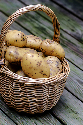 포토 JPG 해외이미지 식물 음식 백그라운드 농업 채소 재료 자연 감자 건강 요리 사람없음 목재 초록색 농장 갈색 노란색 바구니 수확 가을 신선 그룹 달콤 유기농 원예 날것 뿌리 슛 내추럴 밭일 해외202004 해외포토 나무 웰빙 계절 산업 컬러 취미 맛 생태계 파일형식 이미지허브