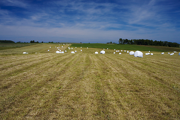 포토 JPG 해외이미지 구름 밭 창문 벽지 하늘 풍경 사람없음 파란색 농작물 설탕 언덕 엽서 폴란드 해외202004 해외포토 자연요소 유럽 컬러 농업 편지 파일형식 이미지허브