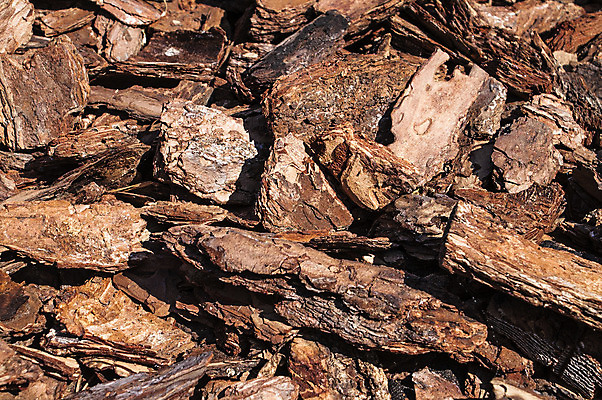 포토 JPG 해외이미지 나무 식물 음식 백그라운드 패턴 자연 표면 날씨 추상 프레임 건조 종류 사람없음 목재 빨간색 세로 갈색 껍질 거친 보호 숲 낟알 묘사 질감 향기 나무껍질 섬유 내추럴 그런지 삼나무 수목 엘리먼트 옛날 해외202004 해외포토 컬러 컨셉 무늬 재료 직물 생태계 냄새 파일형식 이미지허브