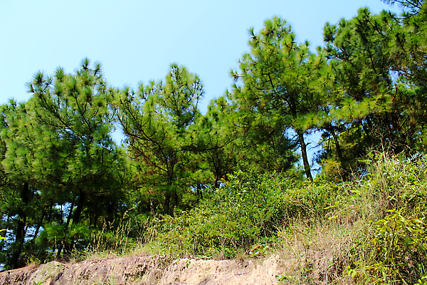 포토 JPG 해외이미지 바다 백그라운드 자연 탁자 하늘 산 안테나 풍경 사람없음 초록색 물 여름 파란색 맑음 망토 언덕 타운 내추럴 해외202004 해외포토 자연요소 계절 컬러 가구 통신 날씨 도시 생태계 파일형식 이미지허브