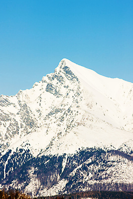 포토 JPG 해외이미지 주간 겨울 자연 사람없음 야외 슬로바키아 겨울풍경 설산 해외202004 해외포토 자연요소 계절 유럽 산 풍경 생태계 파일형식 이미지허브