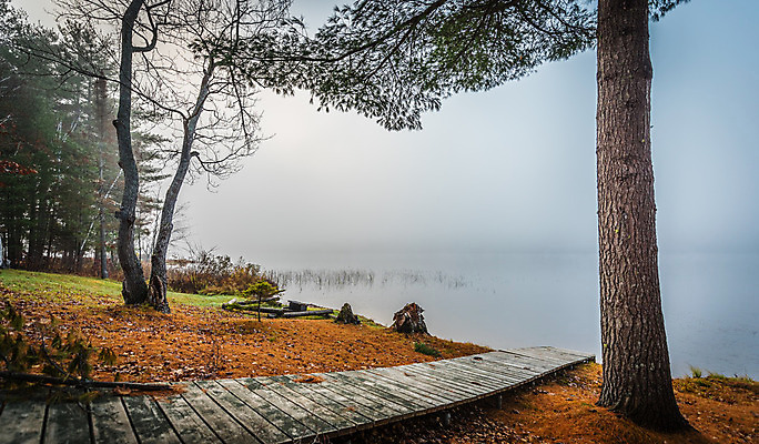 포토 JPG 해외이미지 나무 계절 호수 낙엽 자연 아침 사람없음 야외 목재 물 평화 일출 새벽 촉촉함 안개 가을 신선 황무지 습지 널 숲 시원함 11월 갑판 속도 내추럴 뿌연 삼림지대 섞기 해외202004 해외포토 주간 자연요소 식물 컨셉 잎 배_교통 재료 날씨 노을 젖음 날짜 생태계 파일형식 이미지허브