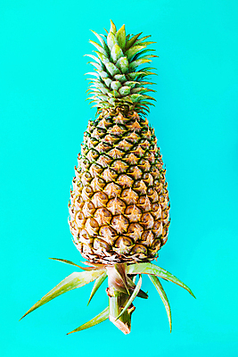 포토 JPG 해외이미지 식물 음료 음식 백그라운드 오렌지 과일 자연 열대 사람없음 초록색 파란색 노란색 힘 신선 달콤 파인애플 오브젝트 유기농 날것 고립 숙성 해외202004 해외포토 웰빙 컬러 맛 열대과일 생태계 파일형식 이미지허브