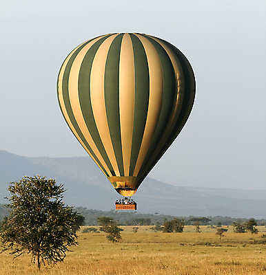 포토 JPG 해외이미지 밭 아프리카 자연 휴가 따뜻함 안테나 국립공원 풍경 사람없음 뜨거움 사파리 풍선 케냐 세렝게티 탄자니아 해외202004 해외포토 공원 나라 농업 통신 생태계 파일형식 이미지허브