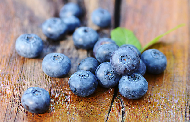 포토 JPG 해외이미지 열매 음식 잎 과일 자연 탁자 디저트 건강 사람없음 목재 파란색 신선 그룹 달콤 오브젝트 유기농 블루베리 블랙베리 내추럴 옛날 월귤 해외202004 해외포토 나무 식물 웰빙 컬러 가구 재료 맛 생태계 파일형식 이미지허브
