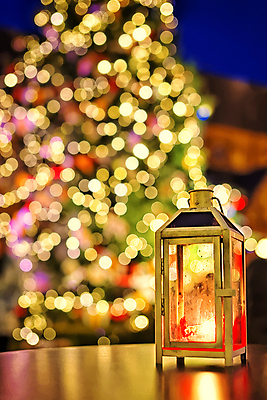 포토 JPG 해외이미지 유럽 기독교 크리스마스 휴가 새해 따뜻함 사람없음 빛 크리스마스트리 반사 성당 등불 램프 축하 점 시장 해외202004 해외포토 기념일 나라 종교 컨셉 종교건축 조명 파일형식 이미지허브