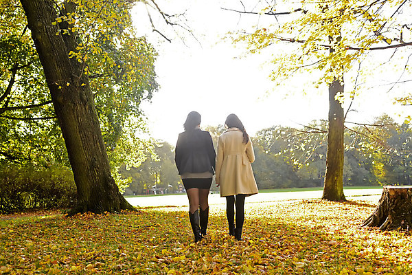포토 JPG 해외이미지 나무 공원 여자 잎 가족 자연 함께함 두명 뒷모습 노란색 걷기 침묵 산책 가을 황금 애도 언니 배려 우울증 성인여자만 해외202004 해외포토 식물 계절 공공시설 뷰포인트 컬러 컨셉 관계 모션 휴식 사람 소리 질병 생태계 자매 여자만 성인만 파일형식 이미지허브