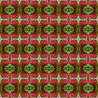 포토 JPG 해외이미지 식물 꽃잎 꽃 분홍색 백그라운드 패턴 자연 벽지 추상 따뜻함 사람없음 장식 빨간색 초록색 컬러풀 정원 활발 신선 우아함 즐거움 생강 원뿔 내추럴 해외202004 해외포토 도형 감정 컬러 컨셉 무늬 채소 생태계 파일형식 이미지허브