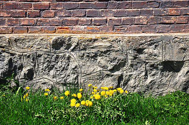 포토 JPG 해외이미지 식물 전통 외관 공원 꽃 문화 벽 백그라운드 잎 꽃무늬 패턴 건축양식 자연 추상 주택 씨앗 사람없음 야외 건물 가로 초록색 여름 빛 햇빛 노란색 봄 블록 수확 벚꽃 바위 잡초 거친 개화 닫기 민들레 질감 그런지 옛날 해외202004 해외포토 건축물 계절 공공시설 건축 컬러 무늬 농업 모션 태양 돌_바위 생태계 파일형식 이미지허브