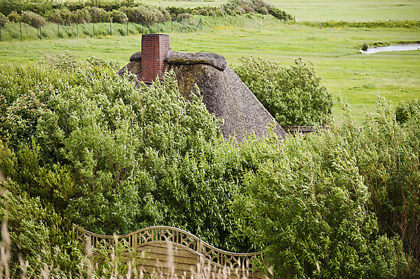 포토 JPG 해외이미지 지붕 주택 독일 굴뚝 사람없음 건물 초록색 북쪽 수평선 해외202004 해외포토 건축물 유럽 컬러 방향 파일형식 이미지허브