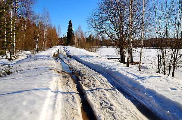 포토 JPG 해외이미지 나무 식물 계절 공원 잎 자연 하늘 풍경 사람없음 초록색 빛 햇빛 태양 환경 봄 광선 흰색 나뭇가지 소나무 숲 장면 내추럴 회복 해외202004 해외포토 자연요소 공공시설 컬러 컨셉 생태계 파일형식 이미지허브