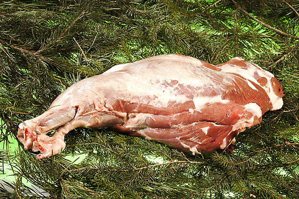 포토 JPG 해외이미지 동물 1 유럽 분홍색 백그라운드 농업 신체 포유류 자연 유리 육류 돼지고기 서기 사람없음 검은색 가축 흰색 돼지 소 숲 작음 뿌리기 가득함 냄새 슛 주둥이 불쾌함 훈제 해외202004 해외포토 감정 나라 산업 음식 컬러 식재료 모션 재질 크기 생태계 파일형식 이미지허브