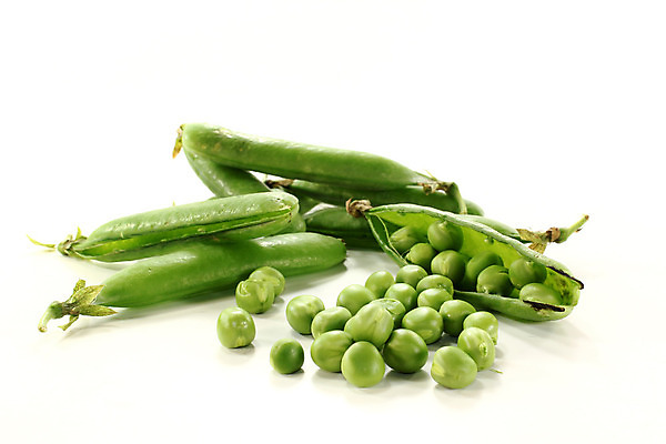 포토 JPG 해외이미지 채소 과일 건강 사람없음 초록색 신선 완두콩 고립 해외202004 해외포토 컬러 콩 파일형식 이미지허브