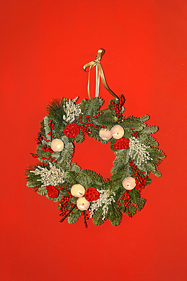 포토 JPG 해외이미지 잎 크리스마스 과일 사람없음 장식 빨간색 문 화환 나뭇가지 반지 소나무 상록수 침엽수 내추럴 해외202004 해외포토 나무 식물 기념일 꽃 컬러 장신구 파일형식 이미지허브