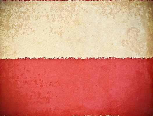 포토 JPG 해외이미지 디자인 종이 백그라운드 날씨 추상 프레임 건조 사람없음 장식 갈색 노란색 공백 손상 수확 골동품 얼룩 가장자리 떨어짐 부식 질감 복고 페이지 찢어짐 판지 구김 그런지 스크랩북 양피지 옛날 노화 해외202004 해외포토 컬러 컨셉 무늬 농업 모션 둘레 파일형식 이미지허브